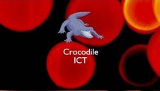 Crocodile ICT ------ 70MB